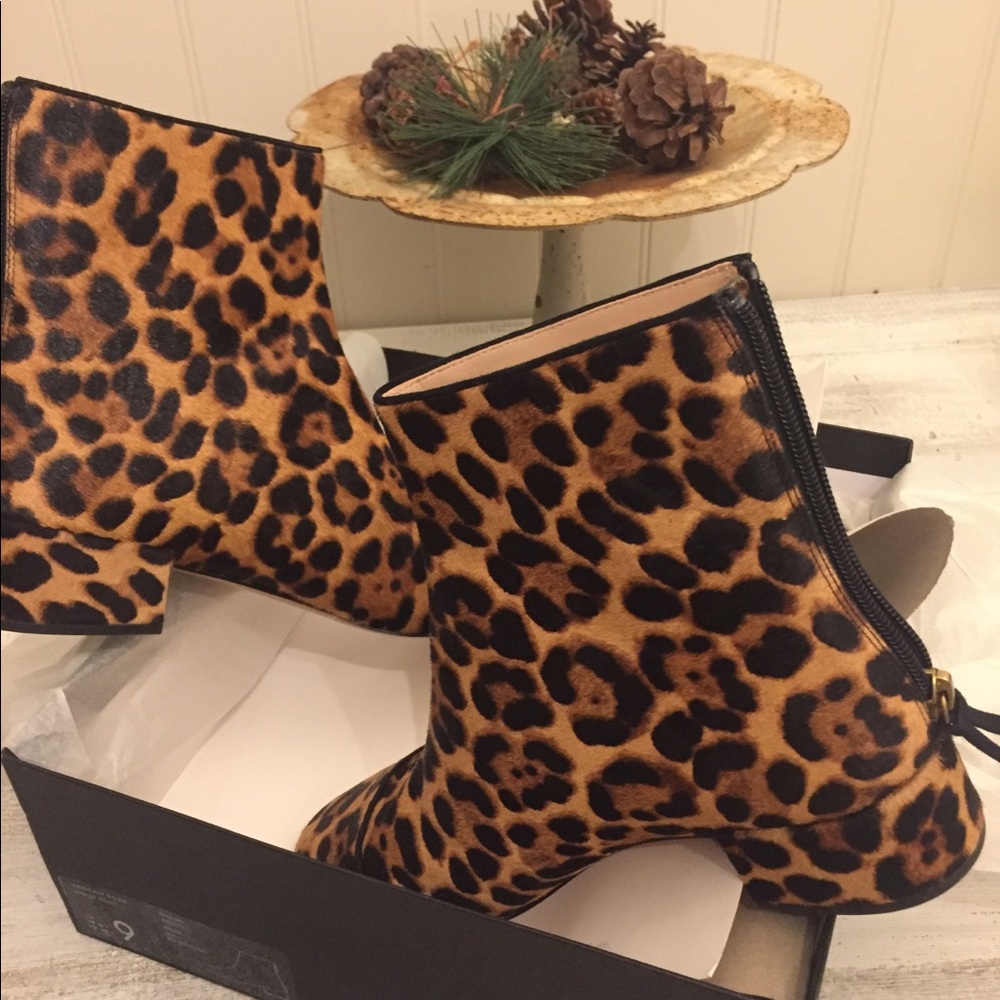 Ankle boots - Picture 5 of 5